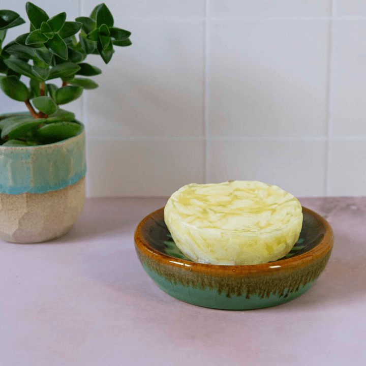 Fair Trade Sea Urchin Soap Dish