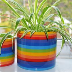 Rainbow Ceramic Planter